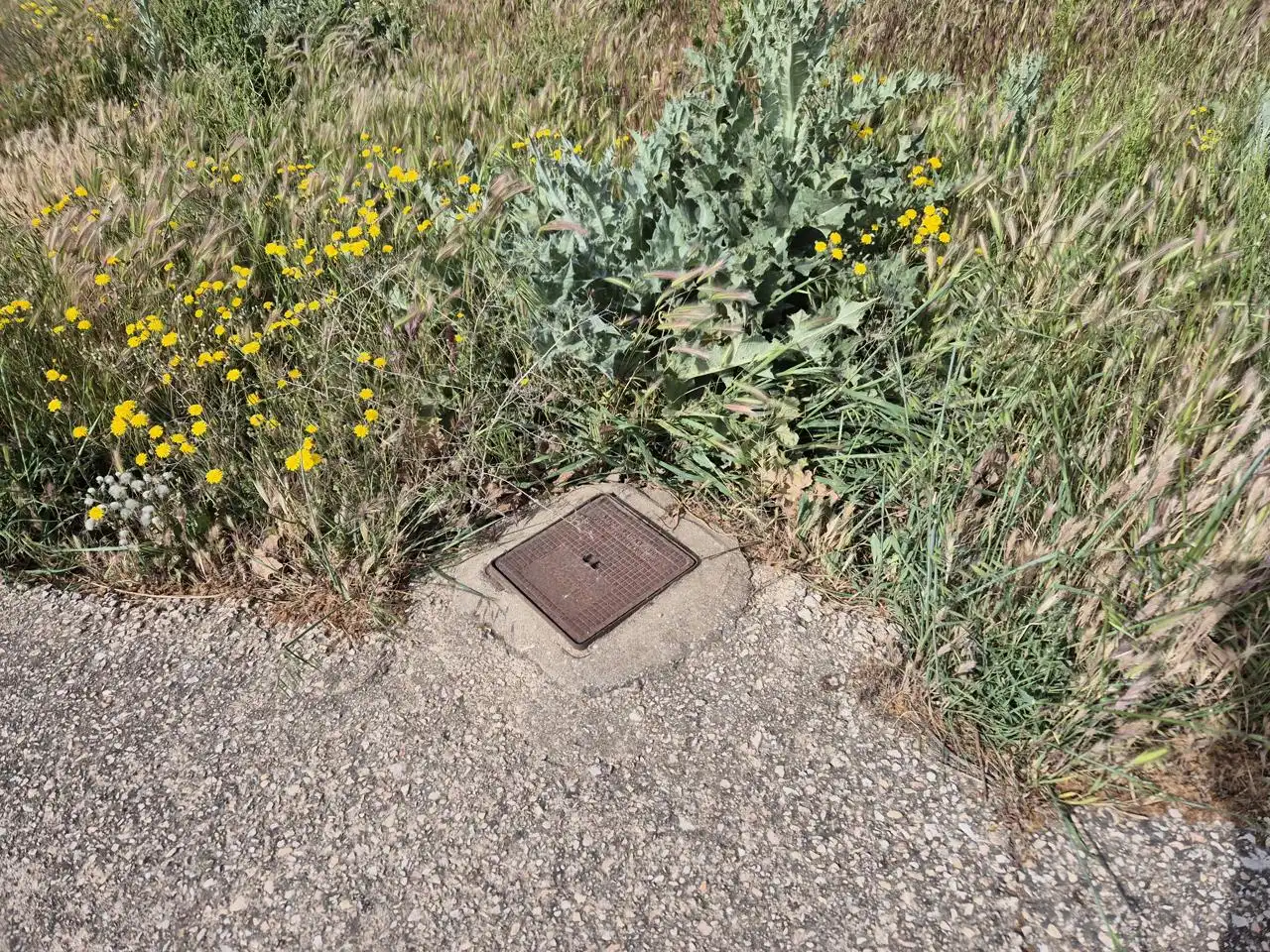 Grundstücke und Bauplätze zum Verkauf in Las Mesas, imagen 6
