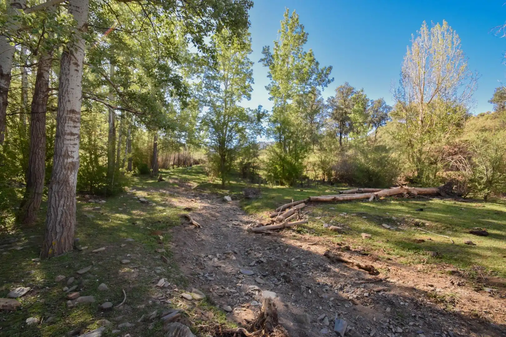 Terreno en venta en Paraje de las Perdices, Lugros