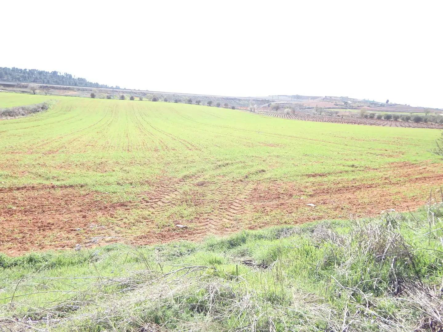 Houses for sale in N/A, Requena