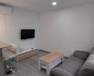 Living room of Flat to rent in Málaga Capital  with Air Conditioner, Furnished and Washing machine