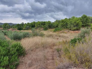 Rustikales Grundstück zum Verkauf in El Pinell de Brai