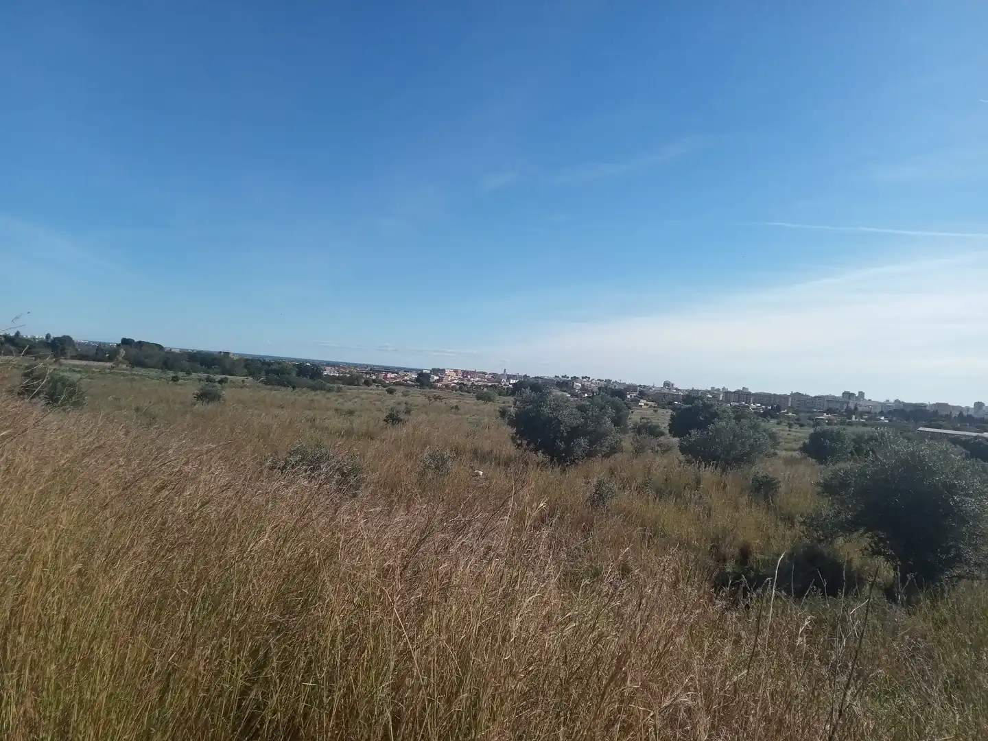 Terreno rustico in vendita a El Grao, imagen 6