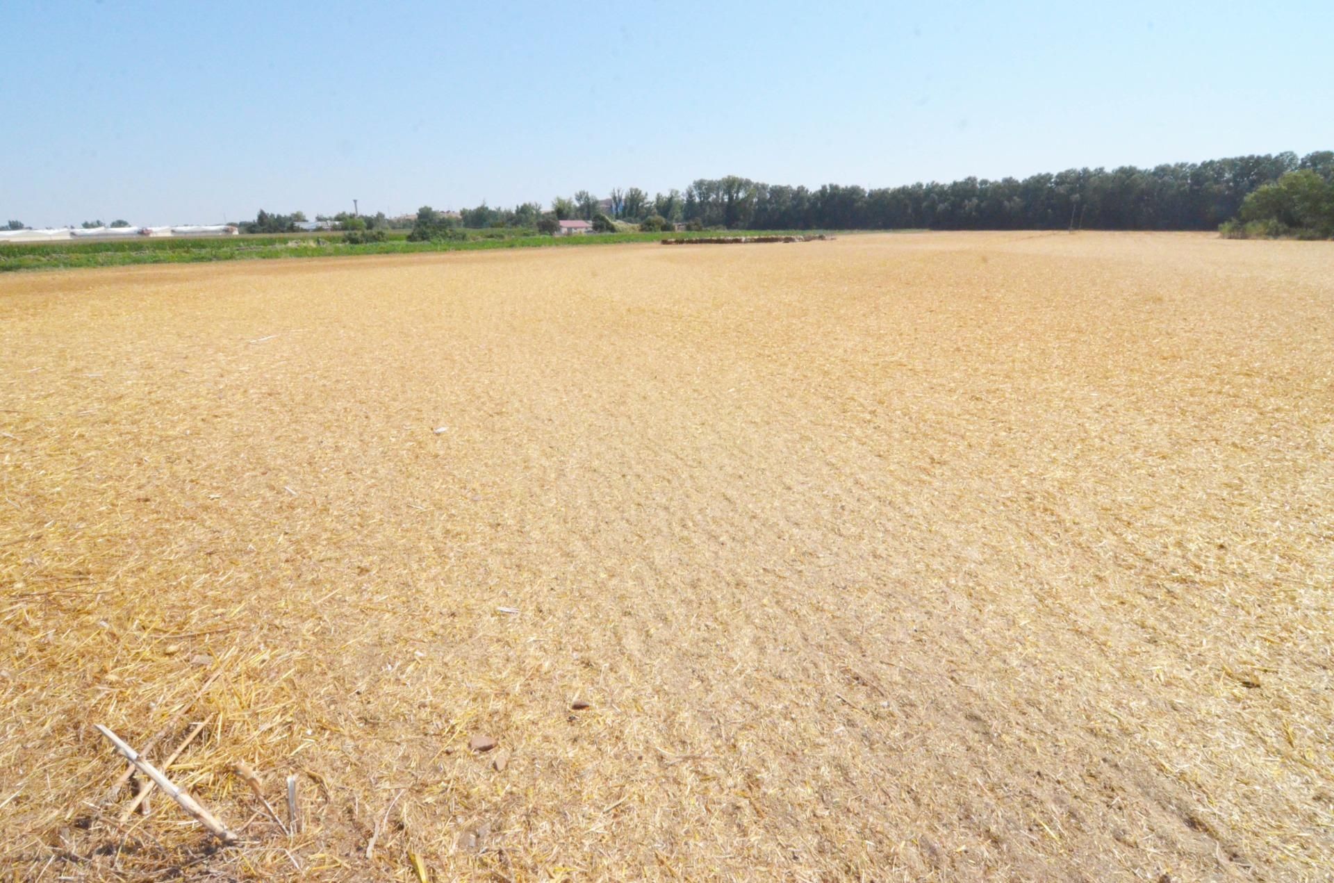 Land for sale in Doñinos de Salamanca