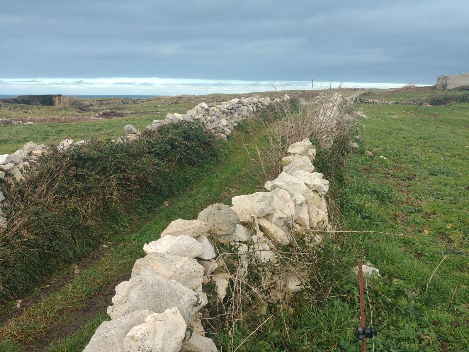 Land for sale in Santander
