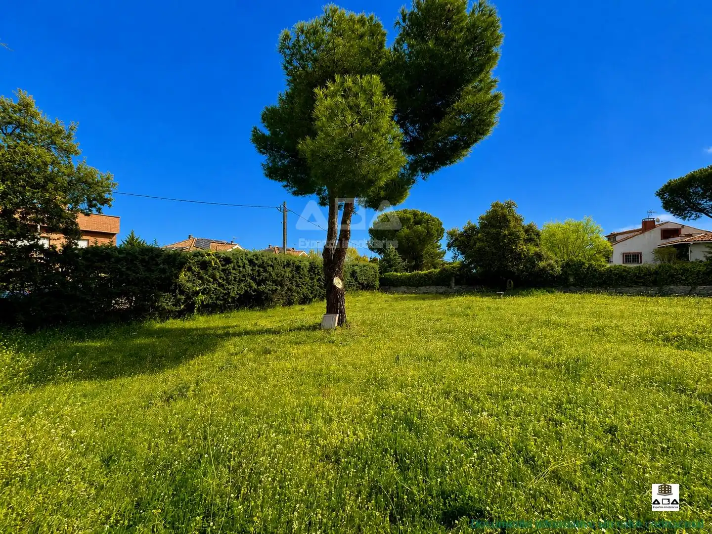 Terreno residencial en venta en Calle CENTRO 6, imagen 6