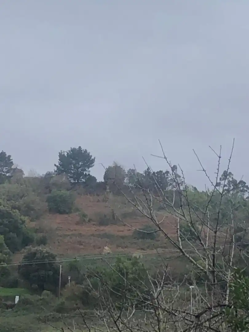 Terreno en venta en Urduliz