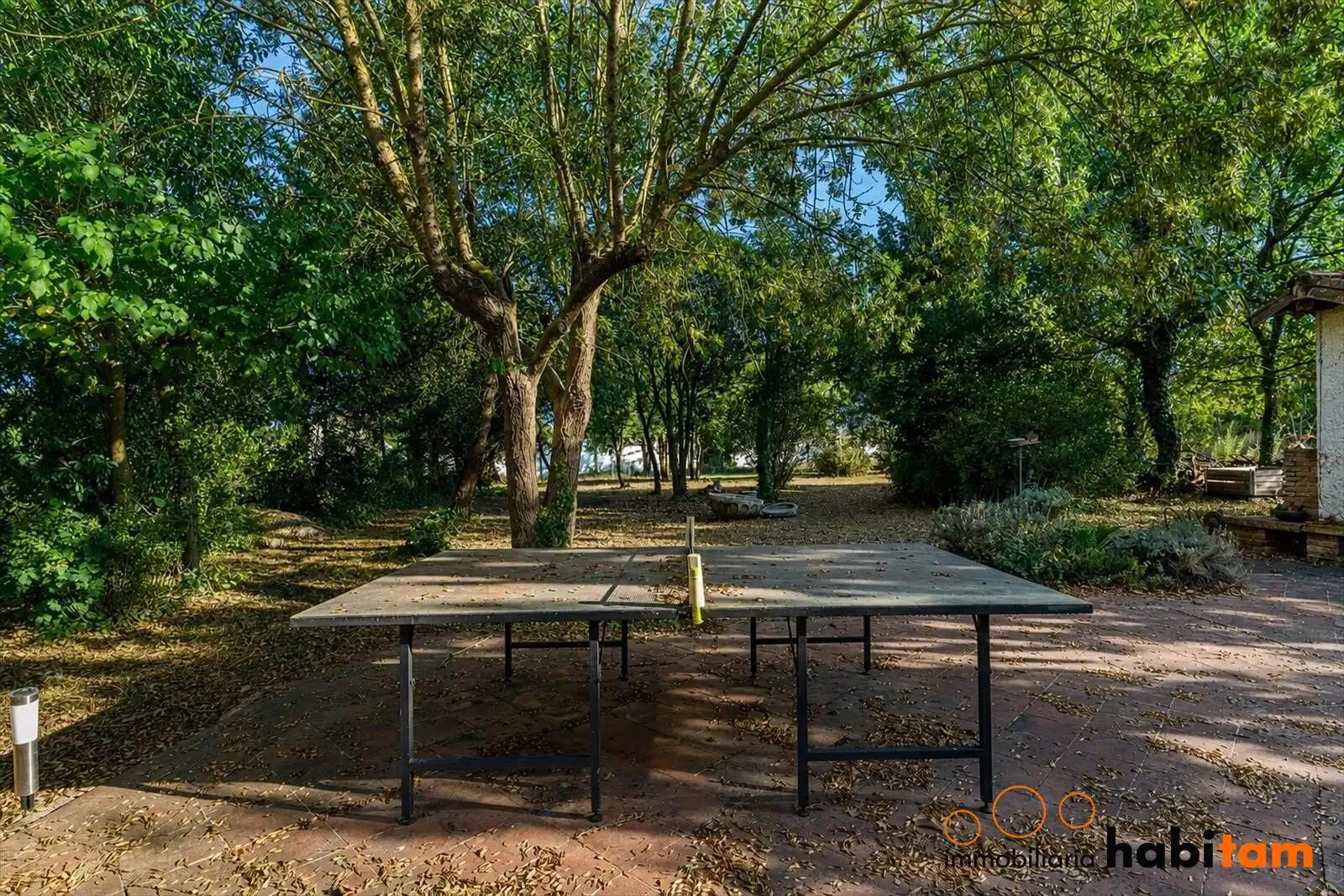 Vista exterior de Finca rústica en venta en Sils con Aire acondicionado, Calefacción y Jardín privado