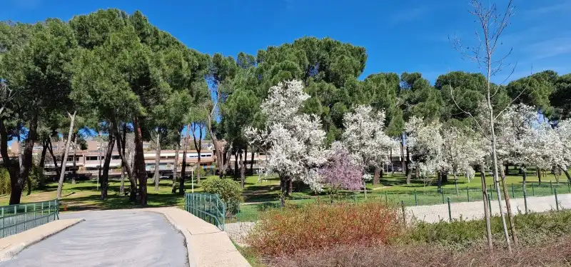 Piso con piscina en venta en Moncloa - Aravaca, imagen 41