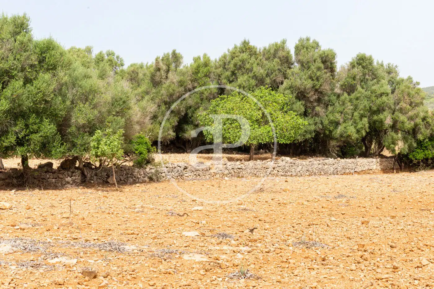 Residencial en venta en Manacor