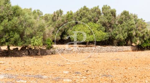 Photo 4 of Residential for sale in Cami De.'s Presos, Manacor Centre, Manacor