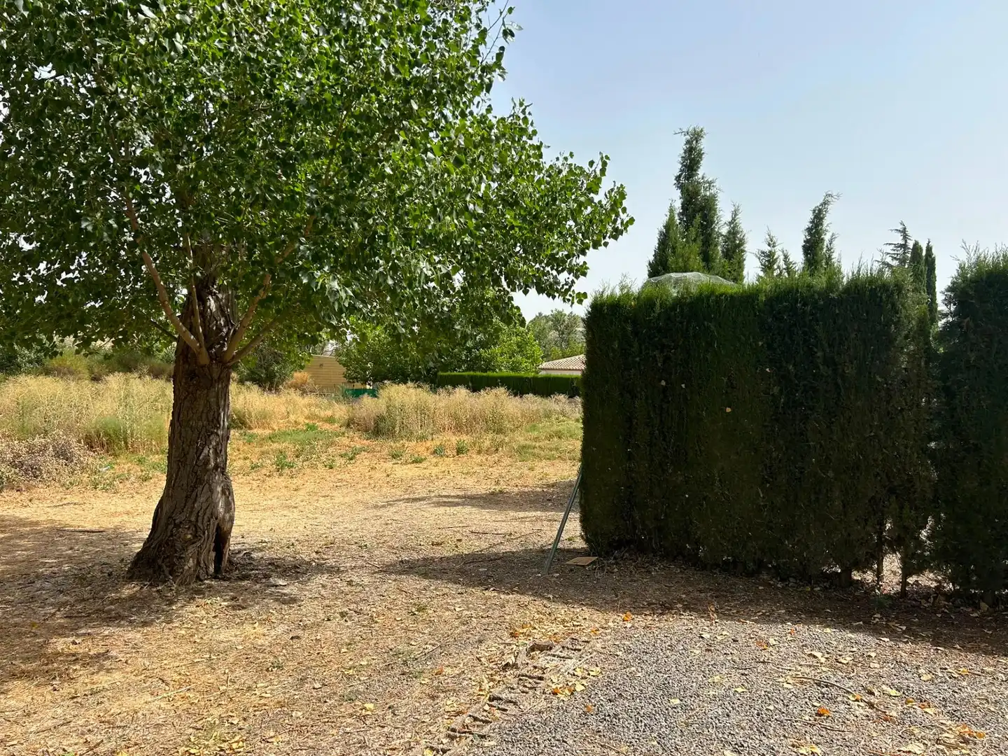 Terrenys i solars en venda a Zona de la Vega