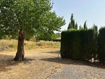 Rustikales Grundstück zum Verkauf in Zona de la Vega