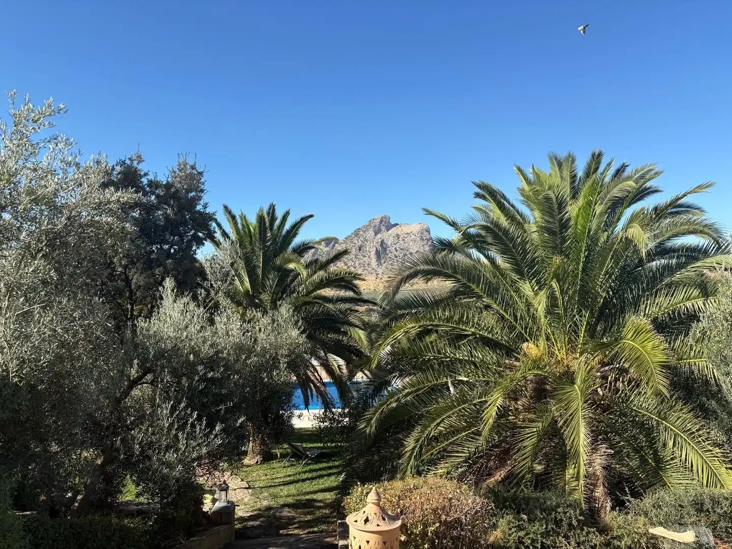 Casa rústica con piscina en venta en Archidona, imagen 20