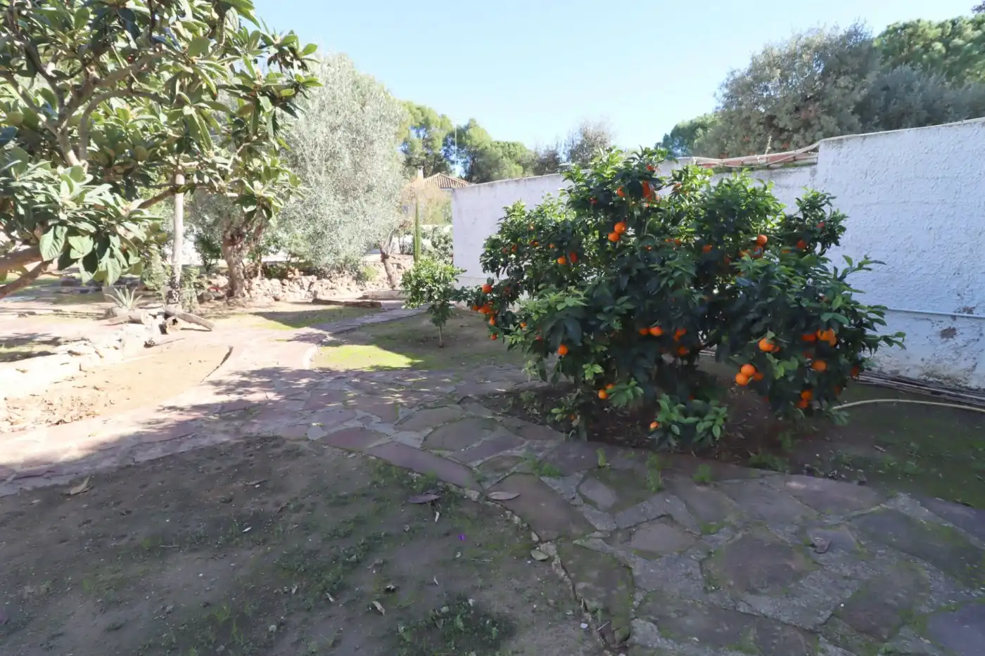 Terreno residenziale in vendita a Campolivar, imagen 9