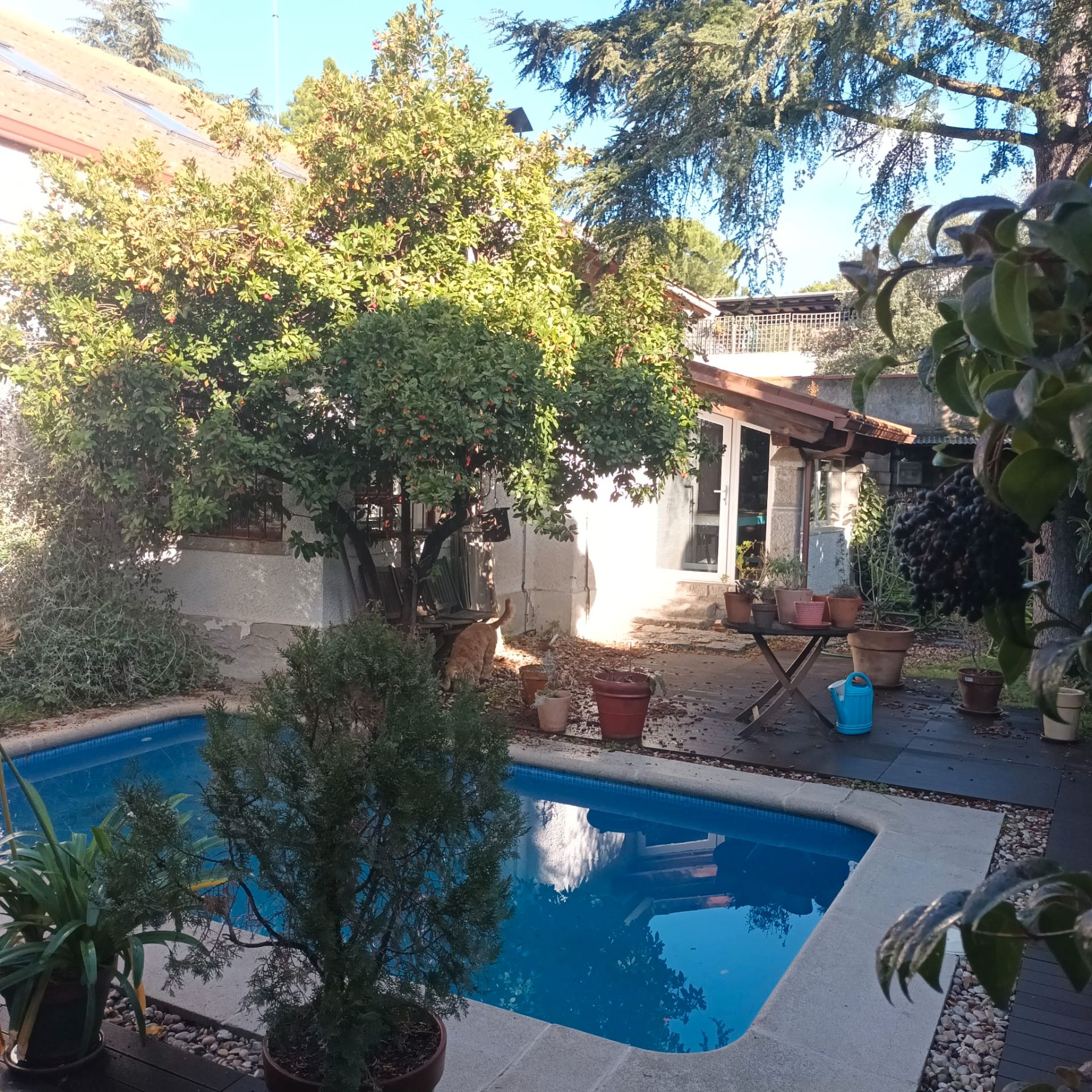 Casa o chalet en venta en Colonia