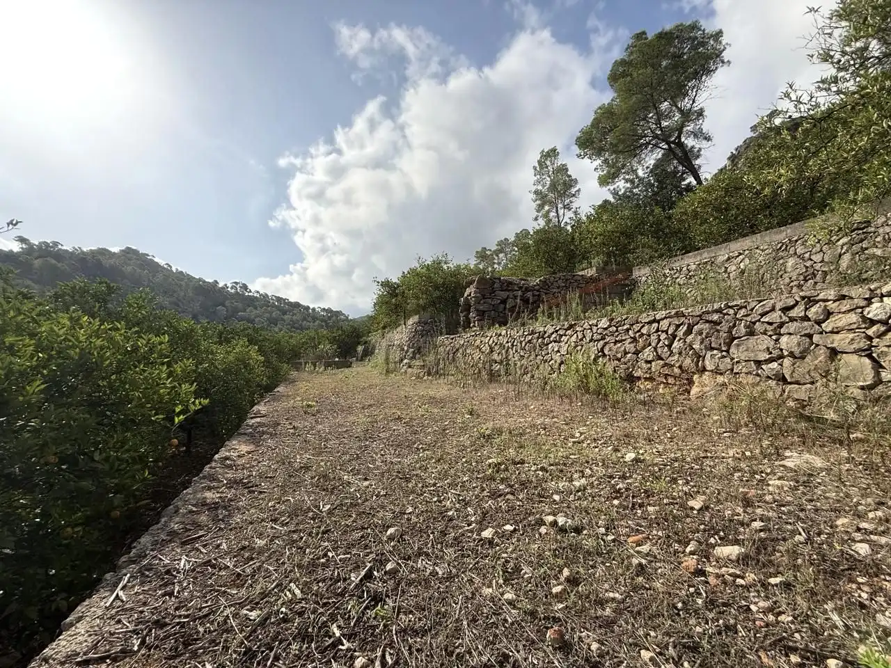 Casa rústica en venta en Carcaixent, imagen 30