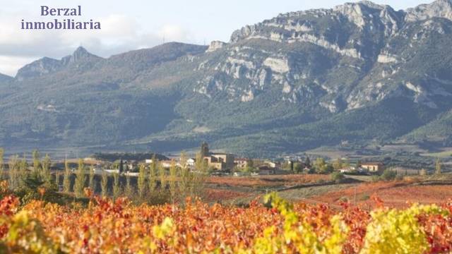 Terreno en Venta en Carretera Carretera de logroño en Laguardia