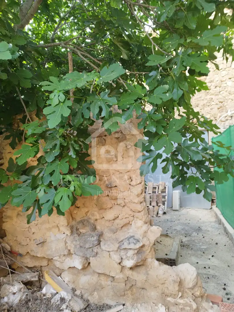 Exterior view of Houses for sale in Requena  with Private garden