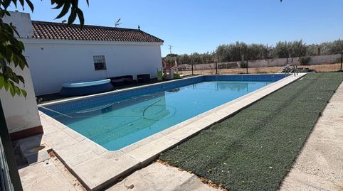 Photo 4 of Country homes for sale in Pedanías Norte, Utrera