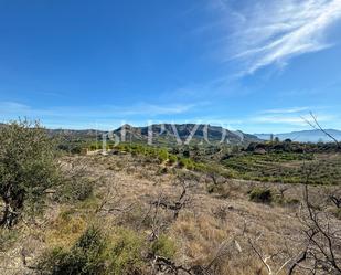 Land for sale in Pizarra