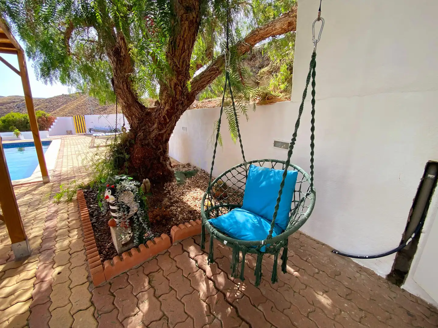 Jardí de Casa o xalet en venda en Berja amb Piscina