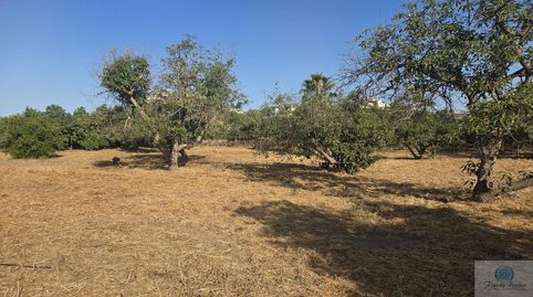 Foto 3 de Residencial en venda a Viejo de Coin, Mijas Golf, Mijas