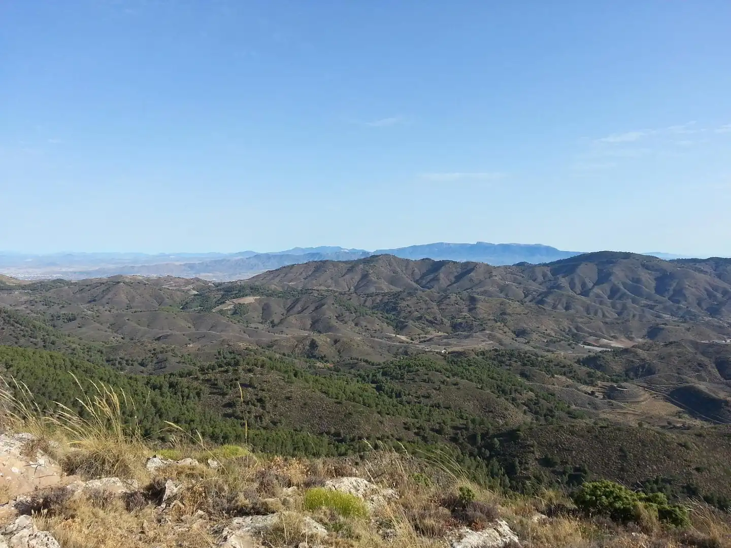 Terreny rústic en venda a Tébar - Los Arejos, imagen 14