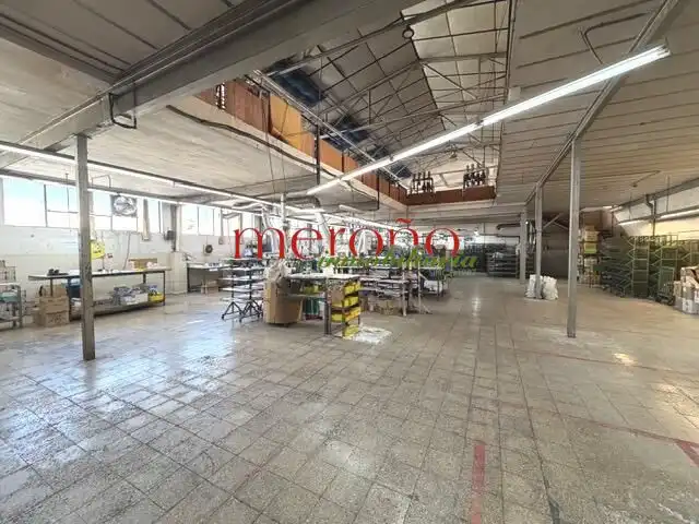 Nau industrial de lloguer en Elche ciudad