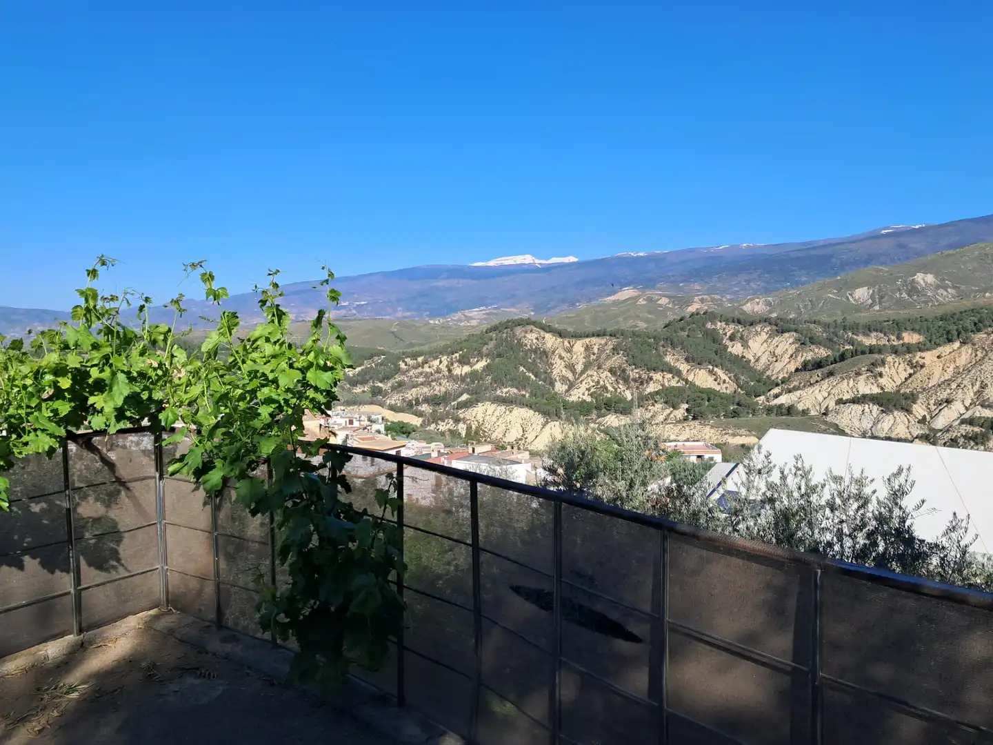 Terrassa de Finca rústica en venda en Alcolea amb Aire condicionat, Jardí privat i Piscina