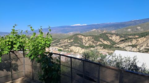 Foto 4 de Finca rústica en venda a Alcolea, Almería