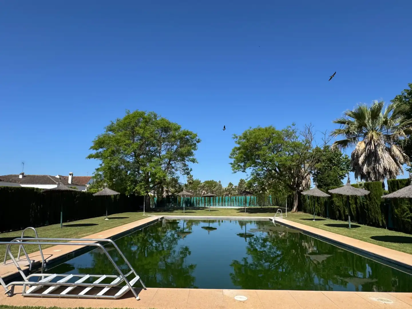 Piscina de Casa o chalet de alquiler en Espartinas con Aire acondicionado, Calefacción y Jardín privado