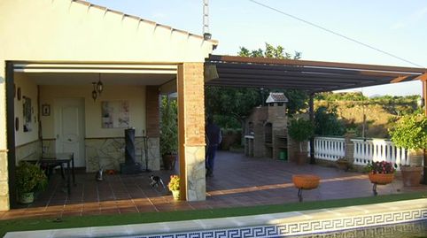 Casa rural con encanto: piscina, barbacoa y plantación de mangos, imagen 2