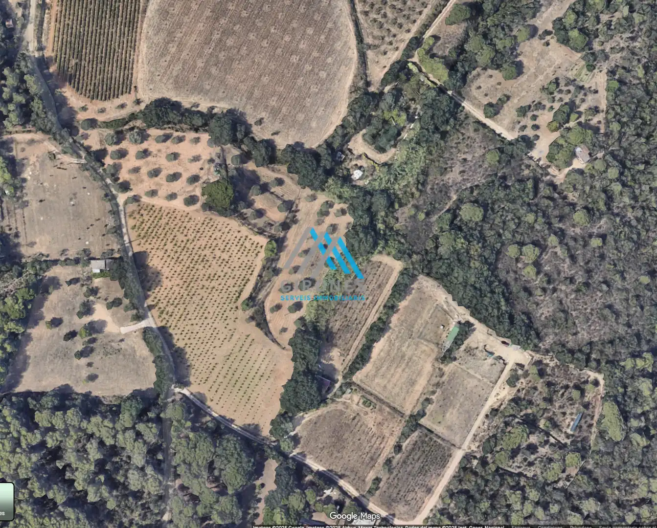 Terrenos y solares en venta en Puig Balitra, imagen 5