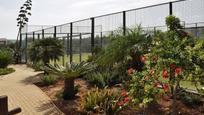Terrassa de Finca rústica en venda en Huércal de Almería amb Aire condicionat i Piscina