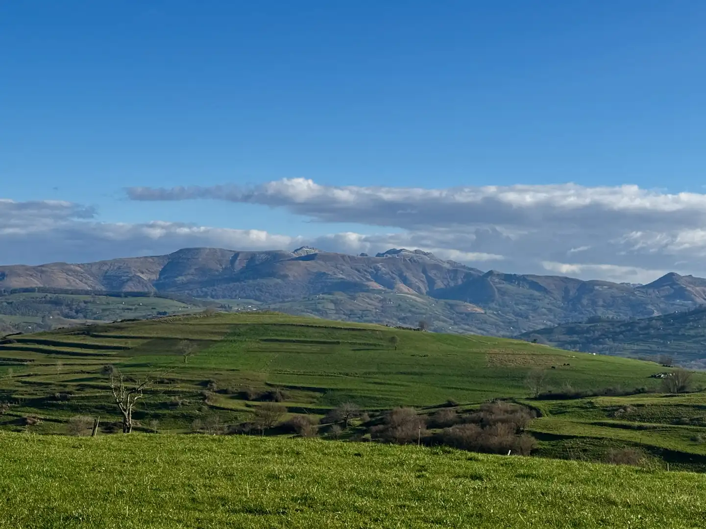 Vista exterior de Casa o xalet en venda en Villafufre amb Jardí privat