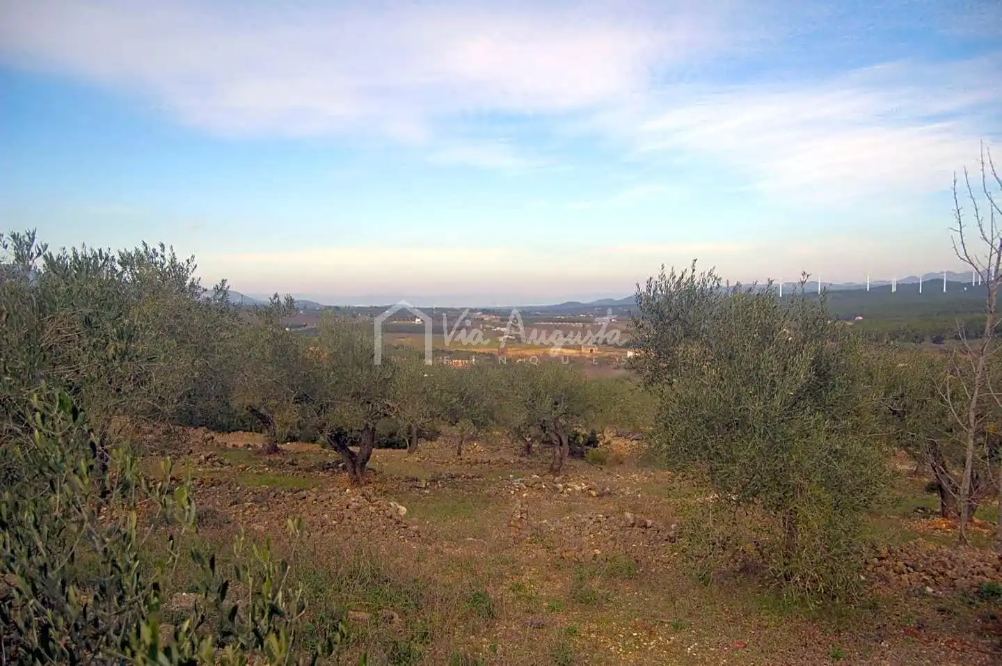 Terreno rustico in vendita a Burgar, imagen 22