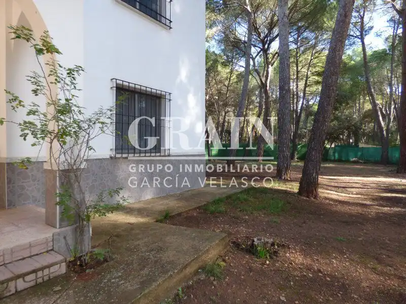 Xalet amb piscina en venda a Pedanías - Extrarradio, imagen 33