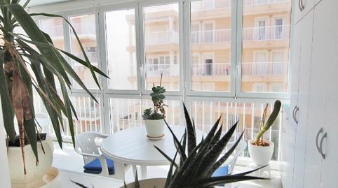 Foto 4 de Apartamento en venta en Calle , Guardamar Playa, Guardamar del Segura