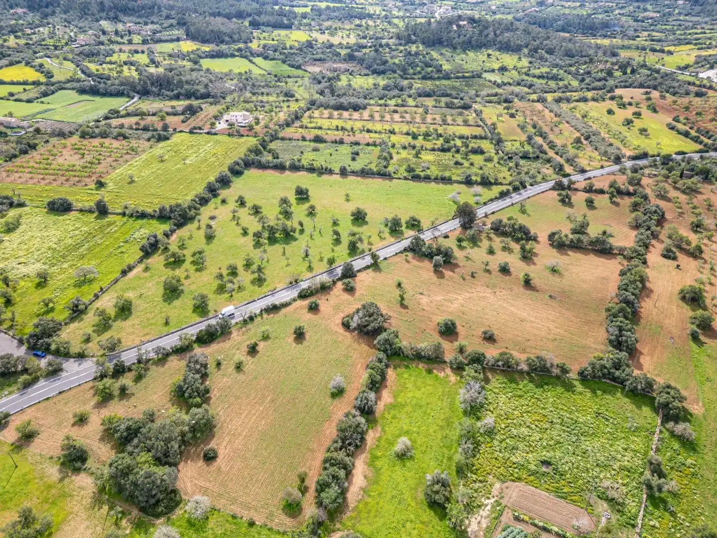 Rural land for sale in Felanitx Poble, imagen 28