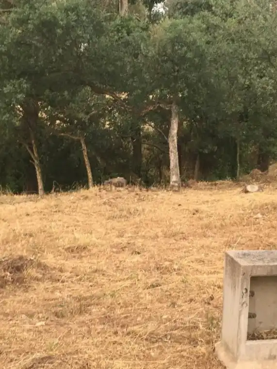 Terreno residencial en venta en Santa Coloma de Farners