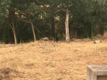 Terreno residencial en venta en Santa Coloma de Farners