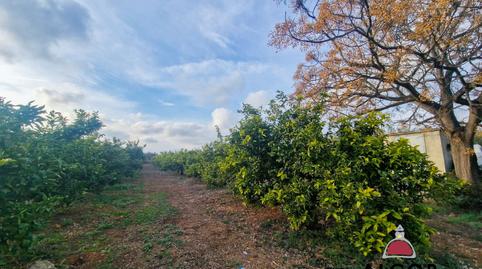 Foto 4 de Finca rústica en venda a 16, Casco Antiguo - Darremur, Castellón