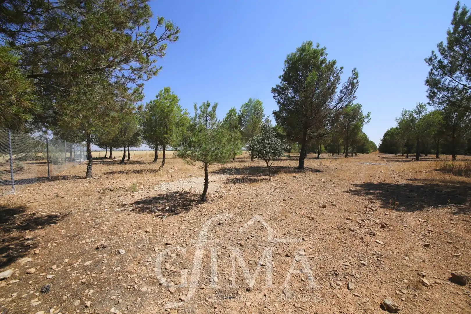 Chalet en venta en Tomelloso, imagen 55