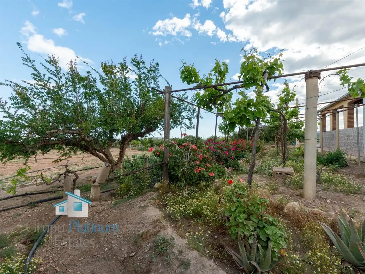 Finca rústica en venta en Águilas con Trastero y Amueblado