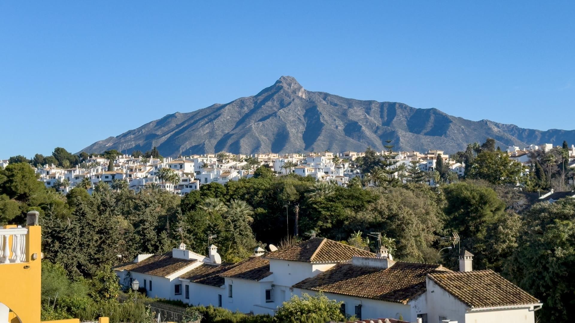 Vista exterior de Casa o xalet en venda en Marbella amb Aire condicionat i Alarma