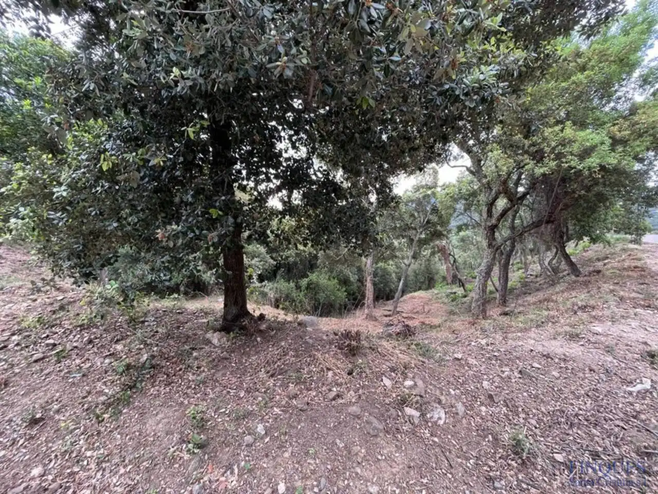 Residential land for sale in Sant Miquel d´Aro 1, imagen 7
