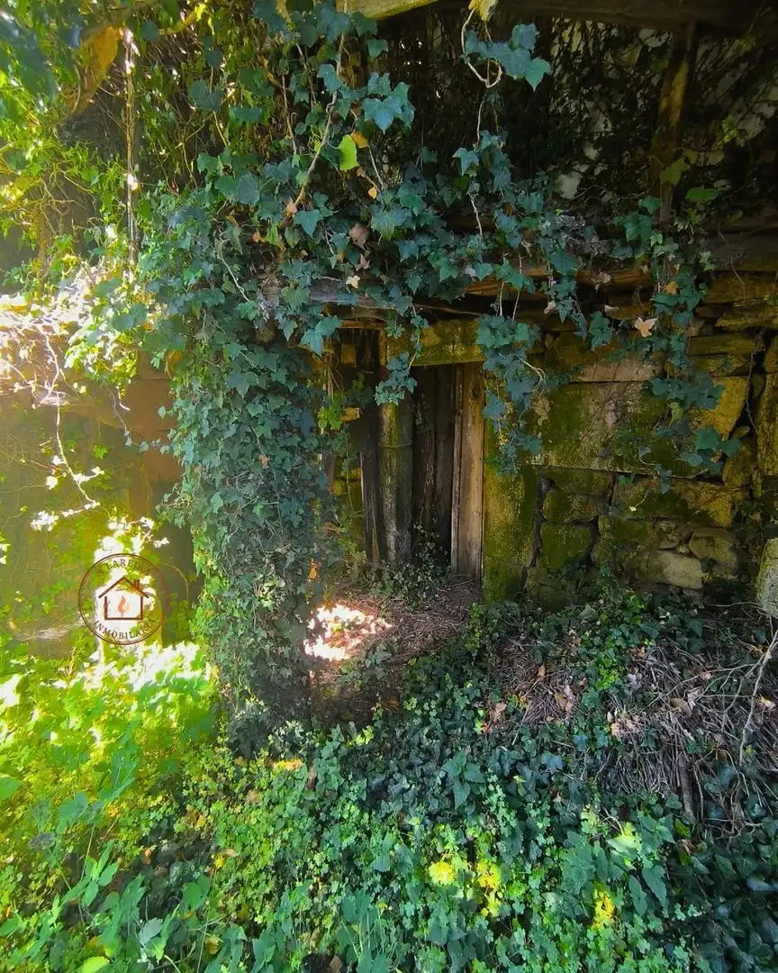 Jardí de Finca rústica en venda en Amoeiro amb Jardí privat