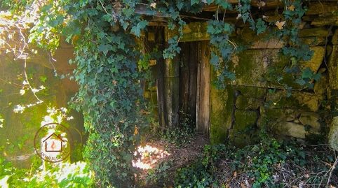 Foto 5 de Finca rústica en venda a Amoeiro, Ourense