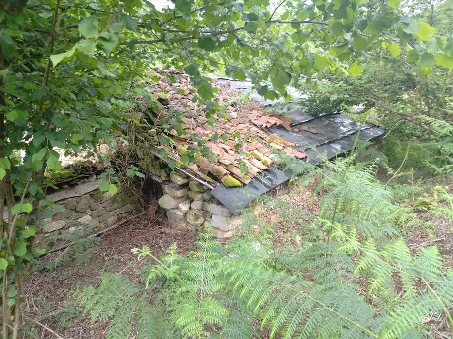 Casa rústica en venda a Caso, imagen 8