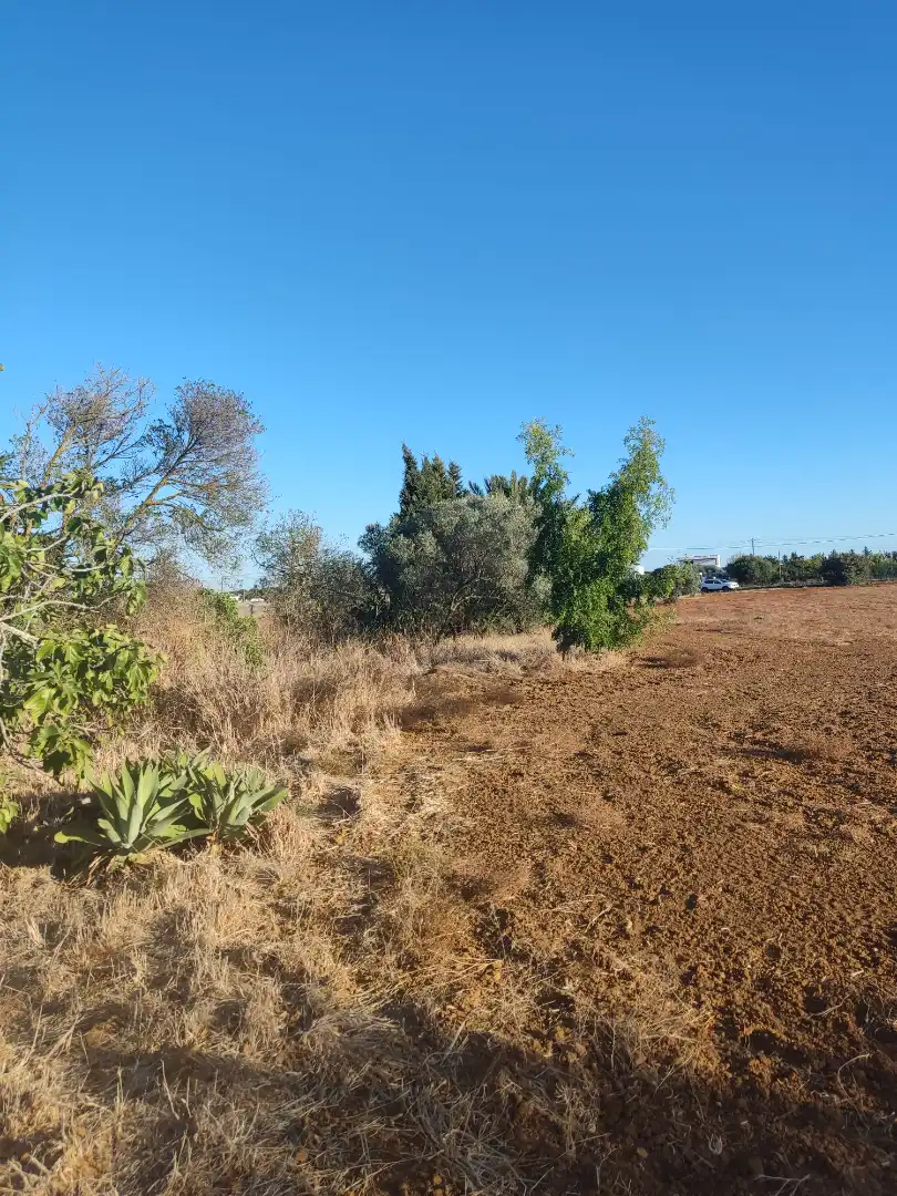 Land for sale in Conil de la Frontera